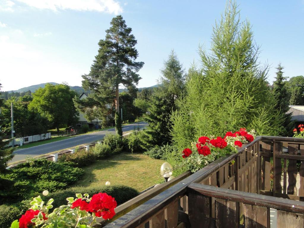 Villa Zerotin Penzion Bed & Breakfast Velké Losiny Buitenkant foto